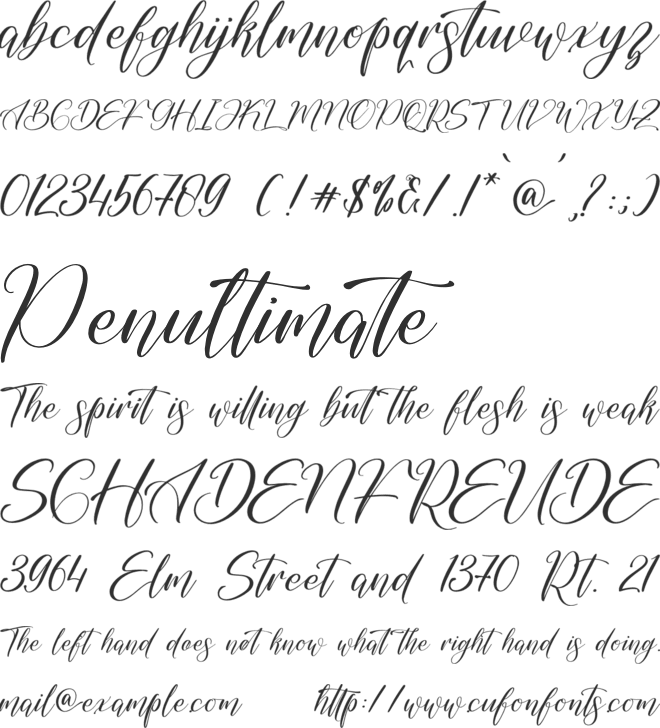 Amothura Berlinka font preview