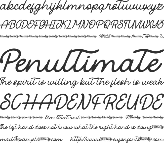 Opulent Floral Personal Use font preview