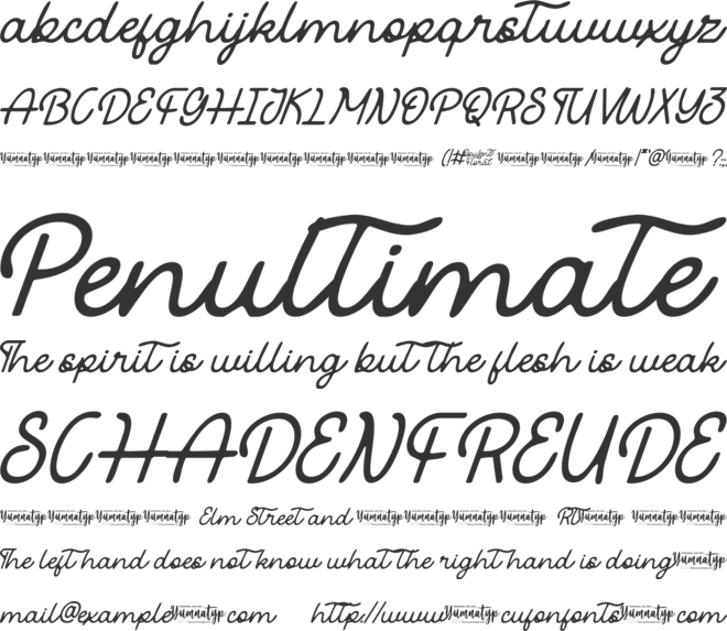 Opulent Floral Personal Use font preview