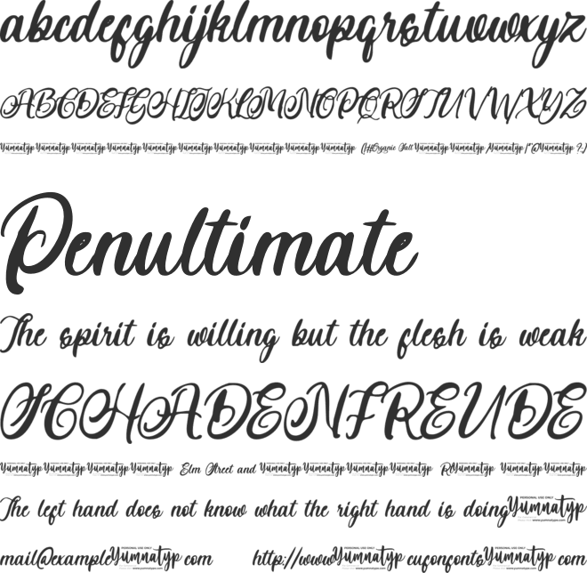 Organic Salt Personal Use font preview