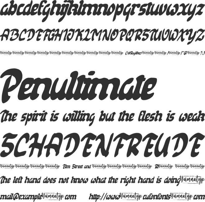 Raylike Personal Use font preview
