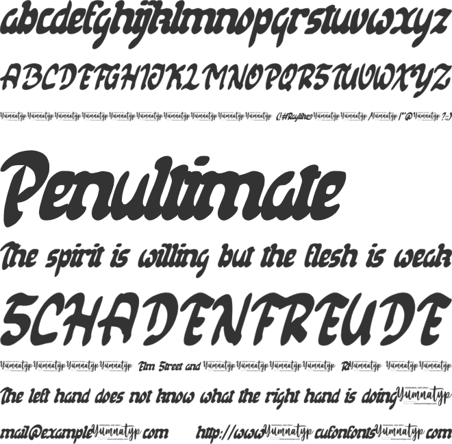 Raylike Personal Use font preview