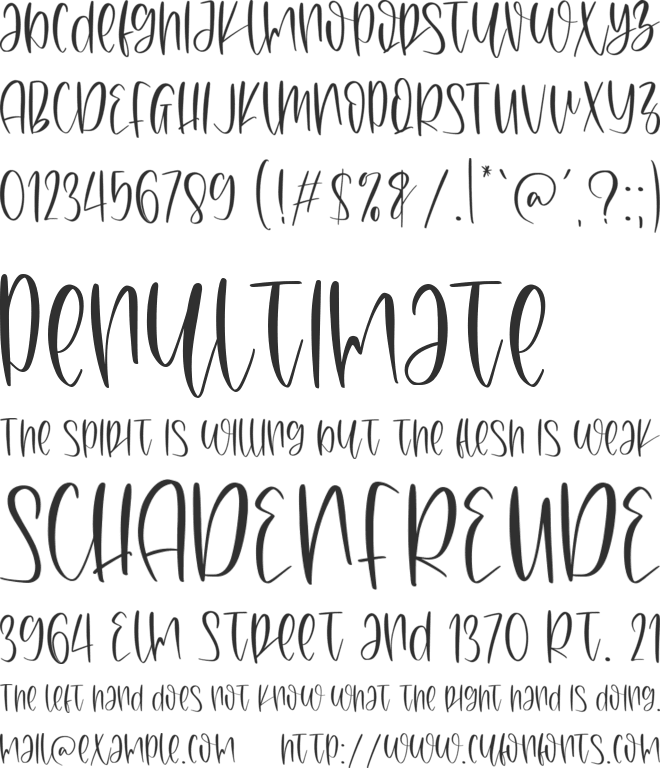 Amanda Kleen Personal Use Only font preview