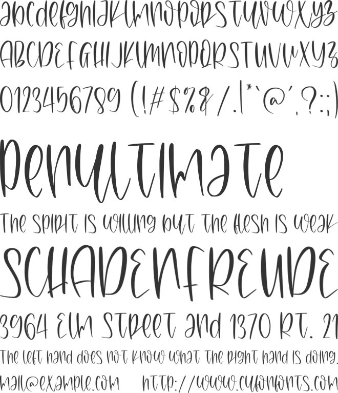 Amanda Kleen Personal Use Only font preview