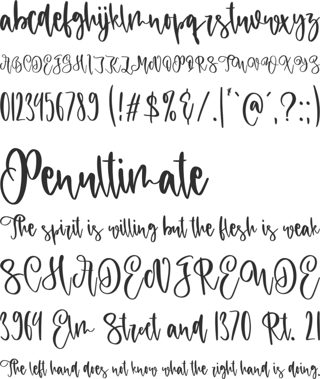 Amiya Personal Use Only font preview