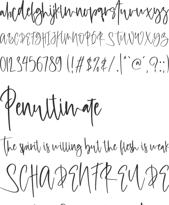Bahamia Personal Use Only font preview