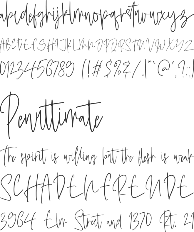 Bellia Maddison Personal Use On font preview