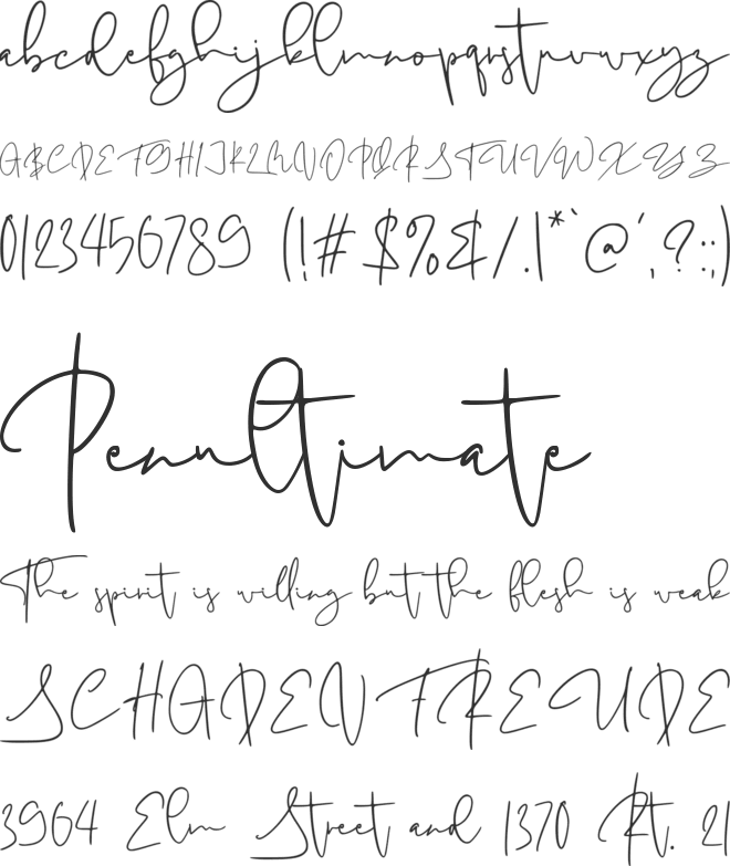 Antoinette Personal Use Only font preview