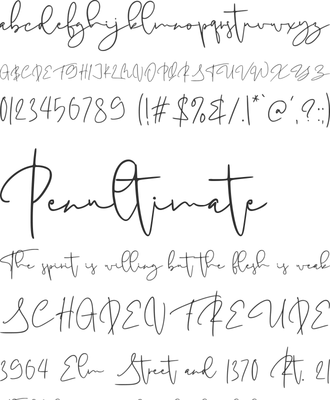 Antoinette Personal Use Only font preview
