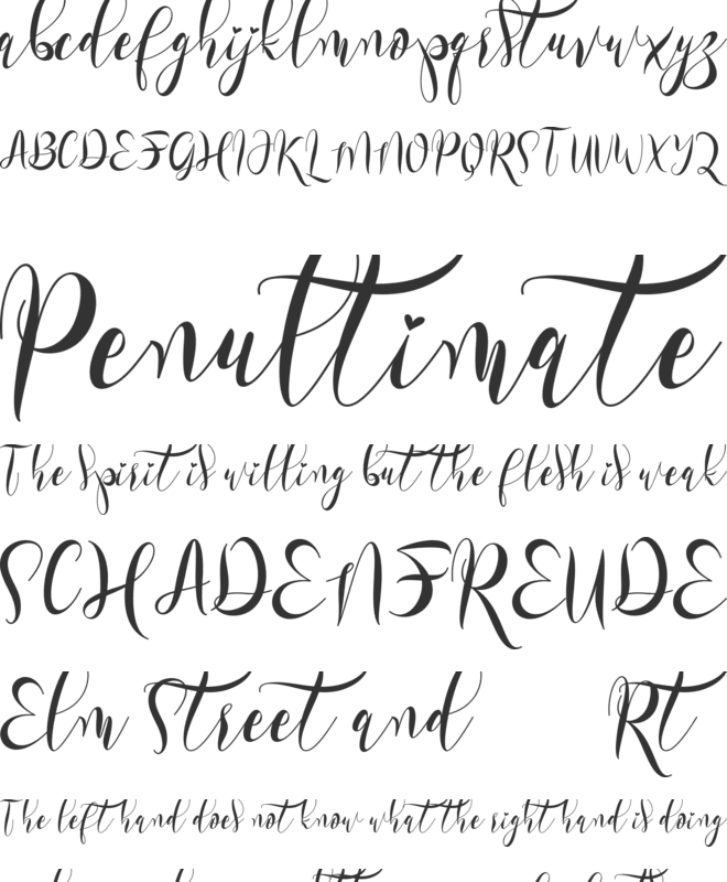 Dorothy Spring font preview