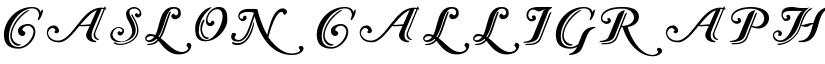 Caslon Calligraphic Initials font