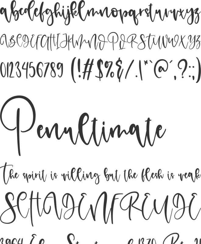 Florida Personal Use Only font preview