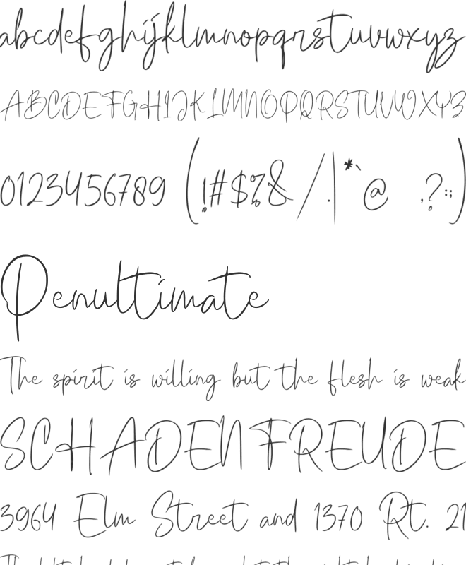 Hiswolley font preview