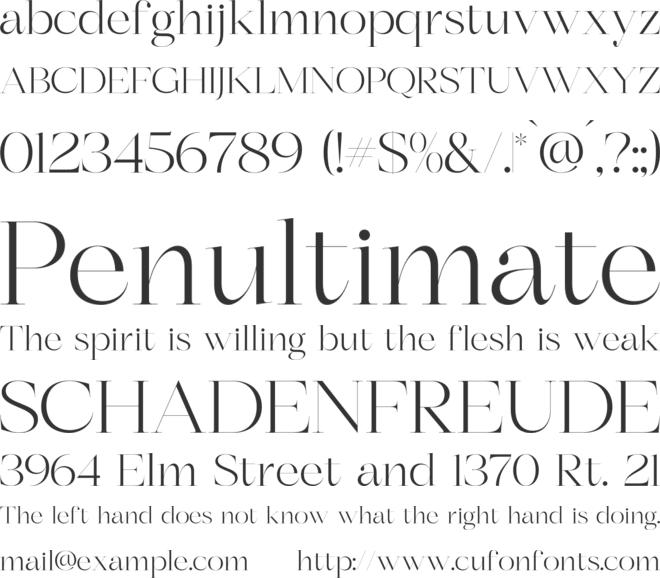Berloja Satfline font preview