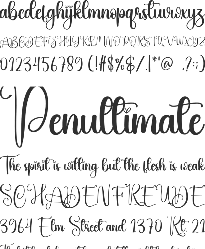 Cruise font preview