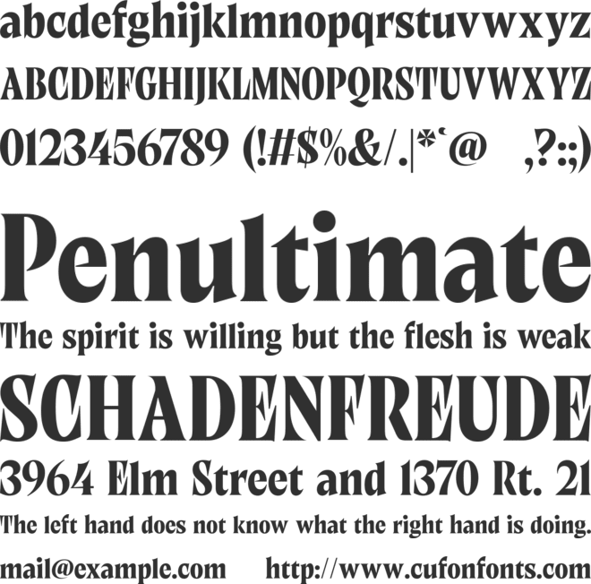 Ruminate Nuance font preview