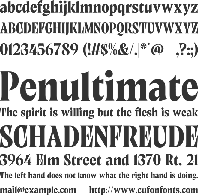 Ruminate Nuance font preview