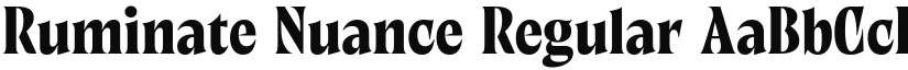 Ruminate Nuance font download