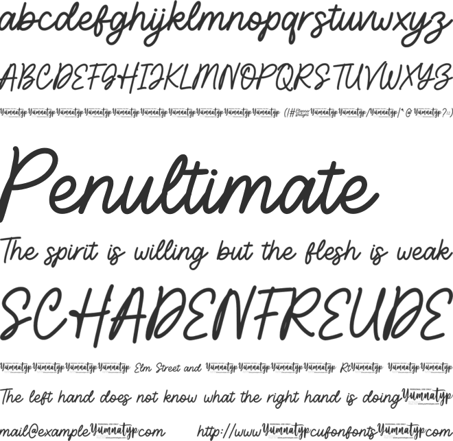 Planner Delight Personal Use font preview