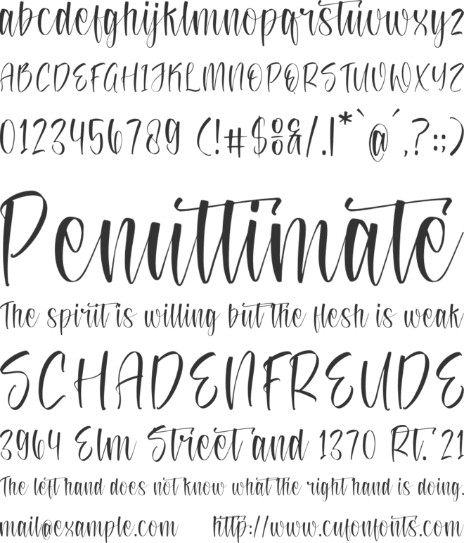 Safferty font preview