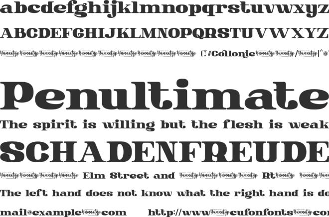Collonie Personal Use font preview