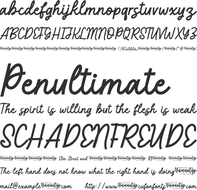 Calditta Personal Use font preview