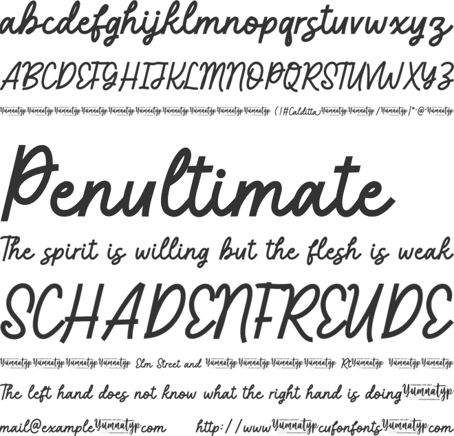 Calditta Personal Use font preview