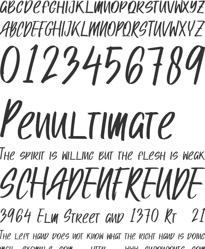 Raenerya Personal Use font preview