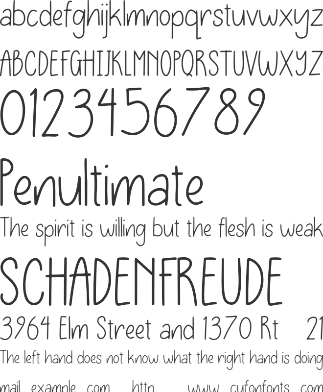 Narendra Personal Use font preview