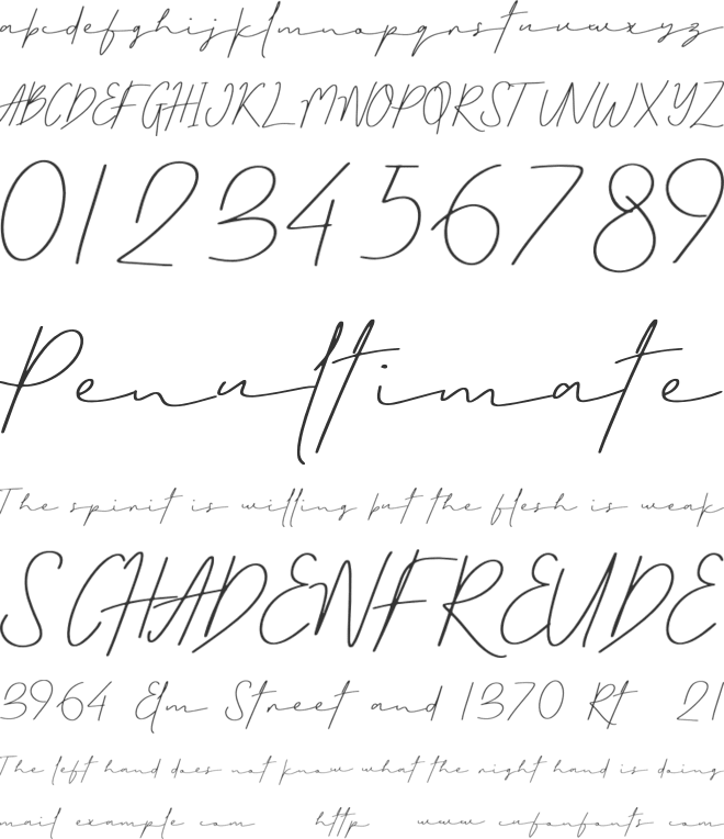 Little Nima Personal Use font preview