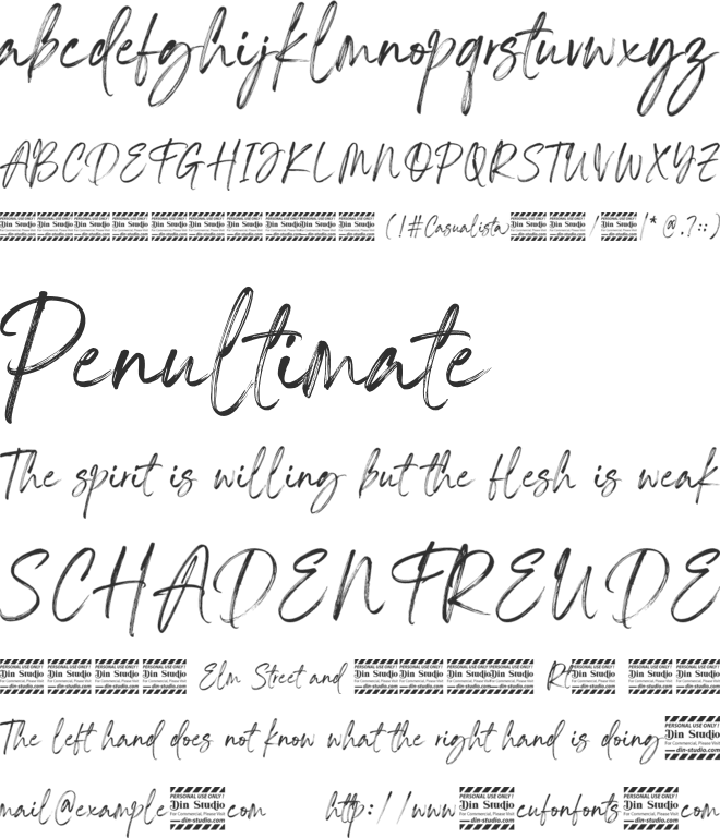 Casualista Personal Use font preview