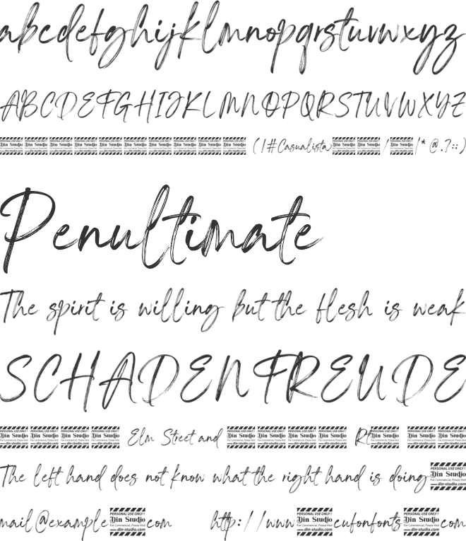 Casualista Personal Use font preview