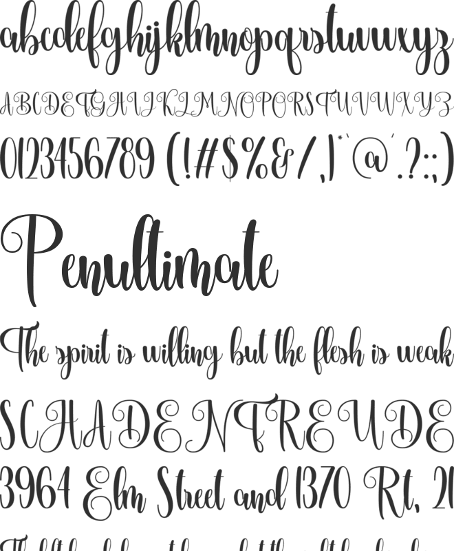 Hummingbird Personal Use Only font preview