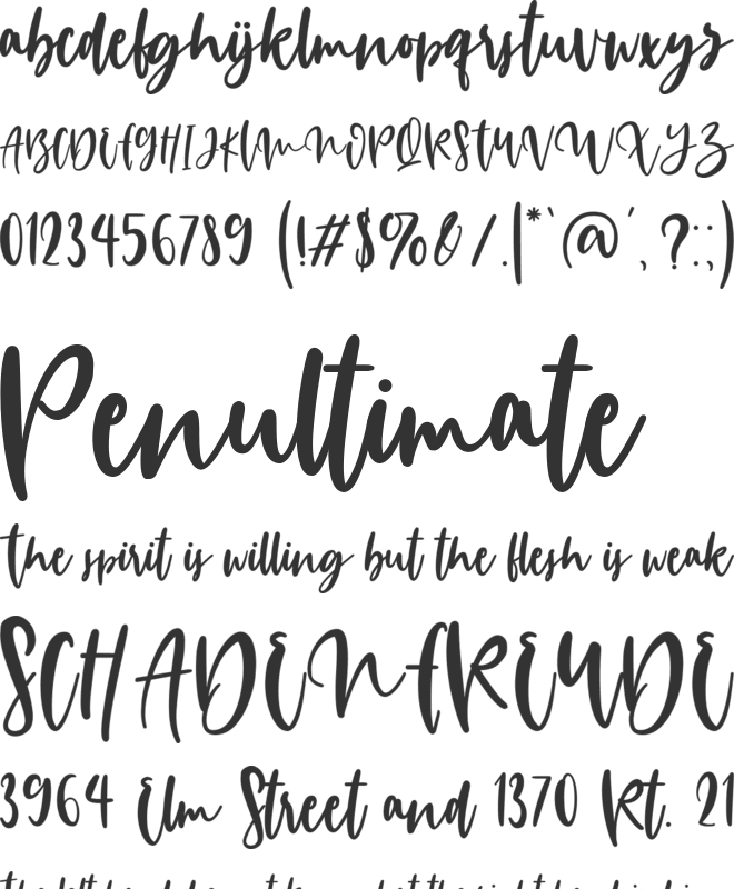 Hillogam Personal Use Only font preview