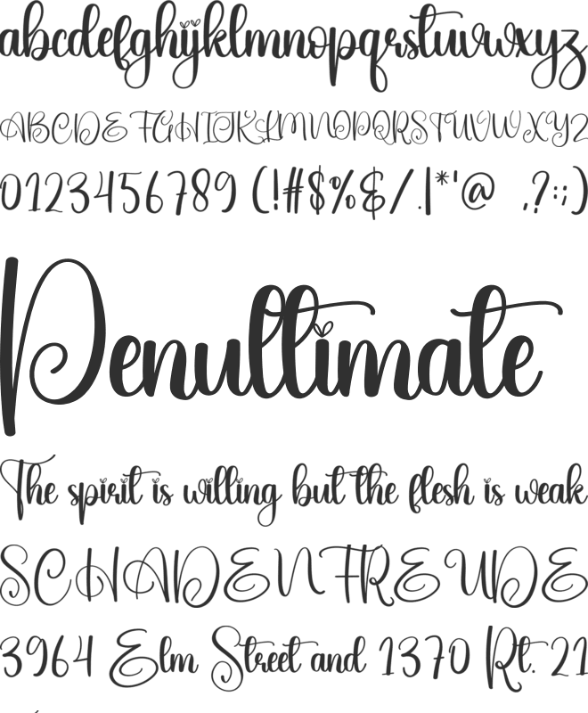 Solid font preview