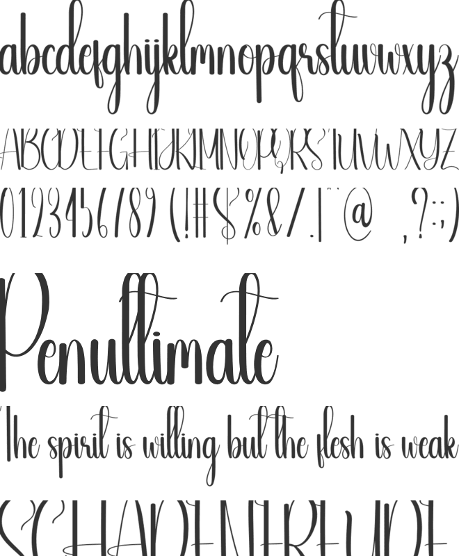 Seagull font preview