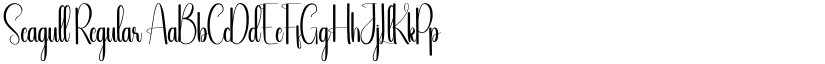 Seagull Regular font