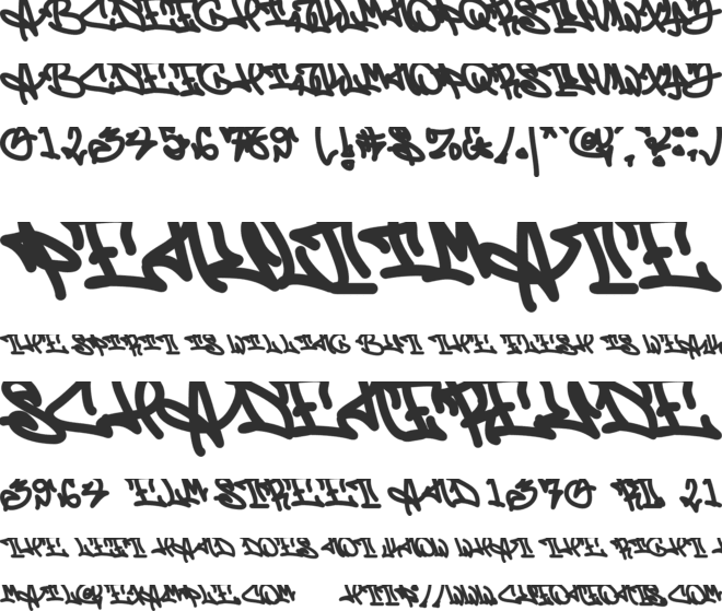 Zebra Script font preview