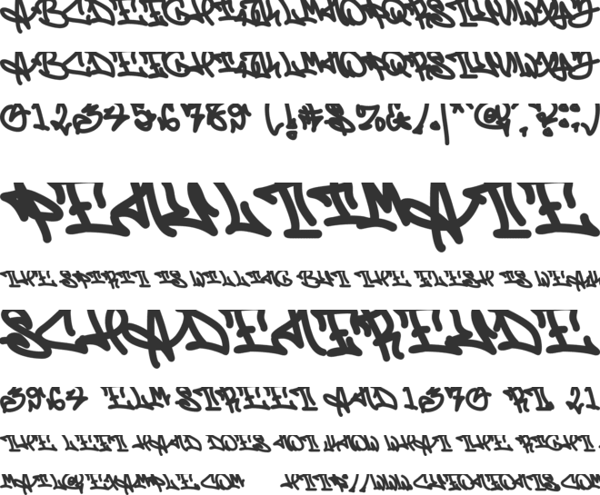 Zebra Script font preview