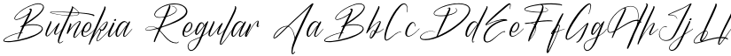 Butnekia Regular font