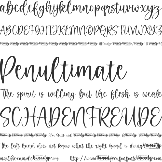 Canoliga Personal Use font preview