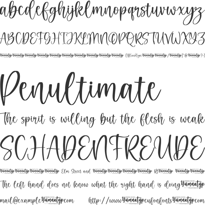 Canoliga Personal Use font preview