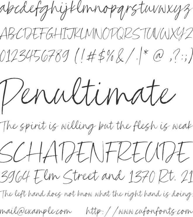 Charlotte Signature font preview