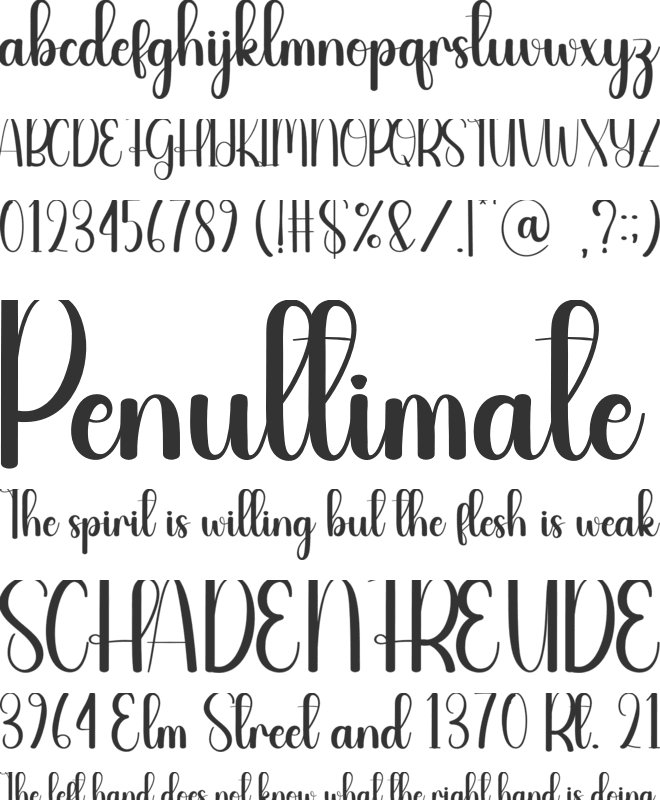 Lightrays font preview