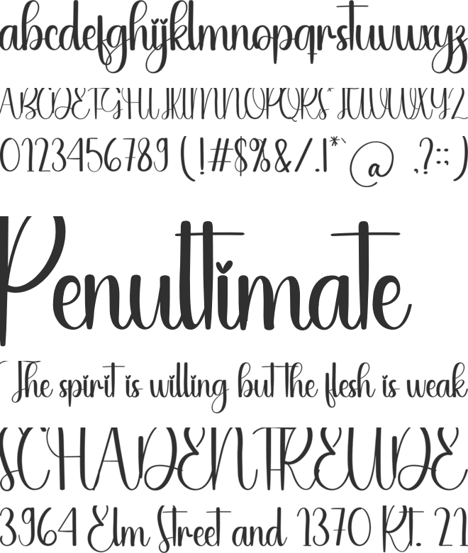 Dry Bakery font preview