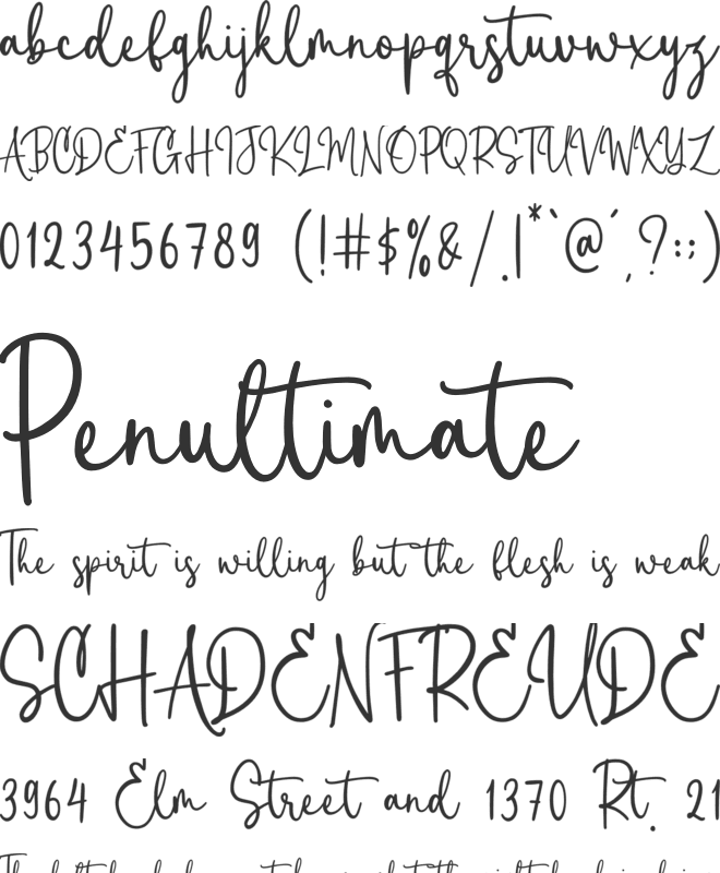 Camishta font preview