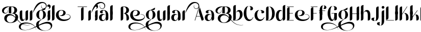 Burgile Trial Regular font