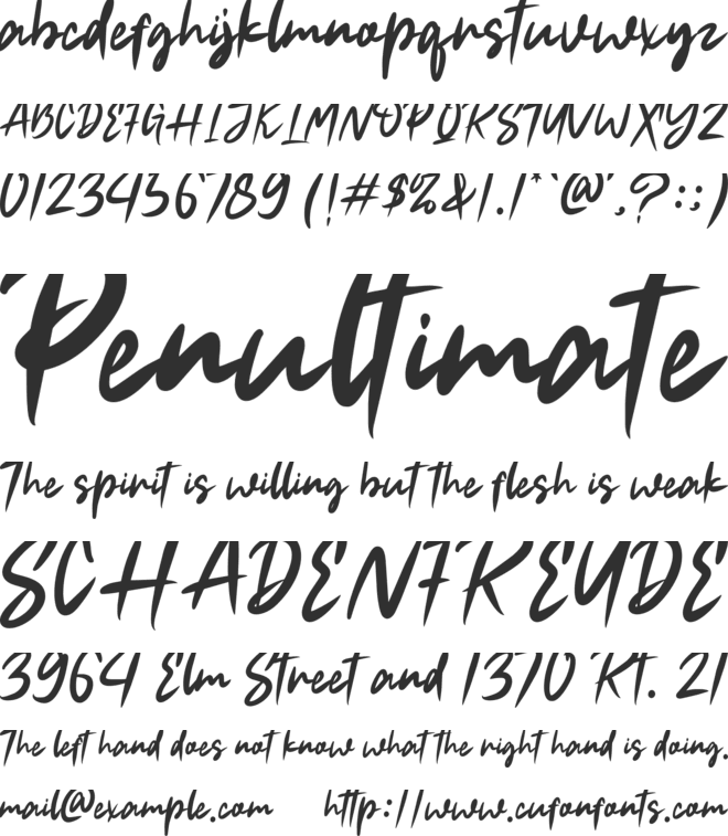 Halokity font preview