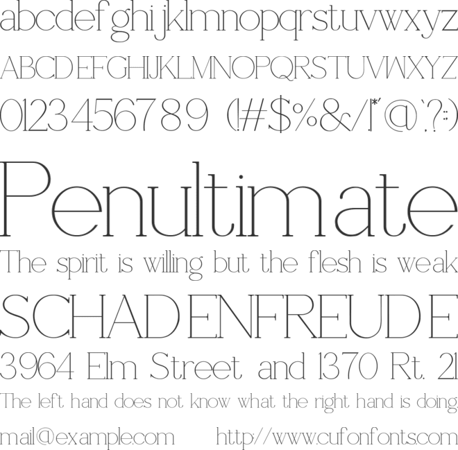 Shoogie font preview