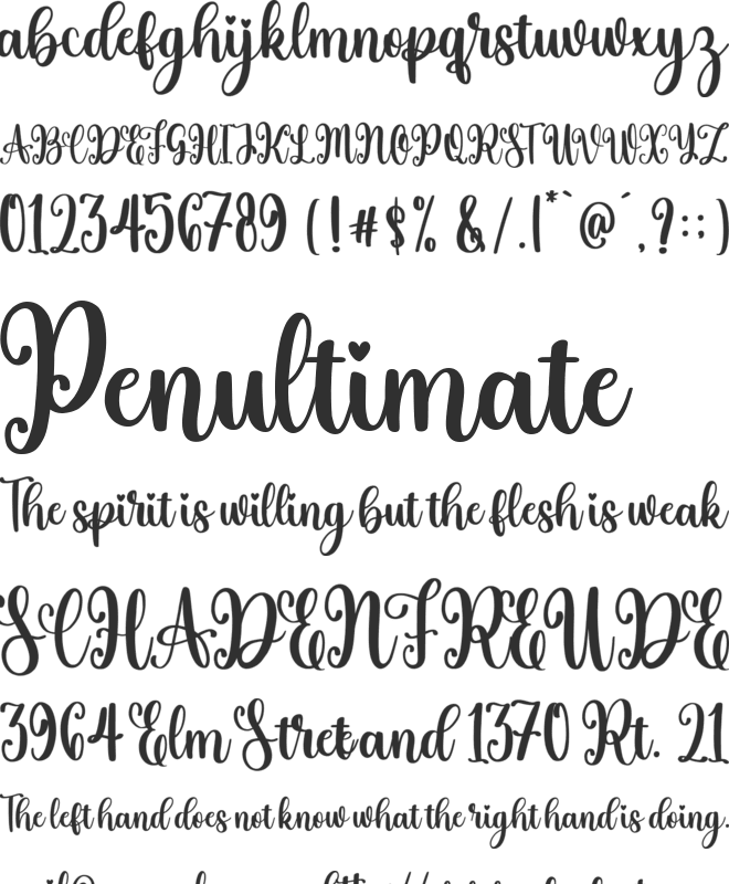 holiday font preview
